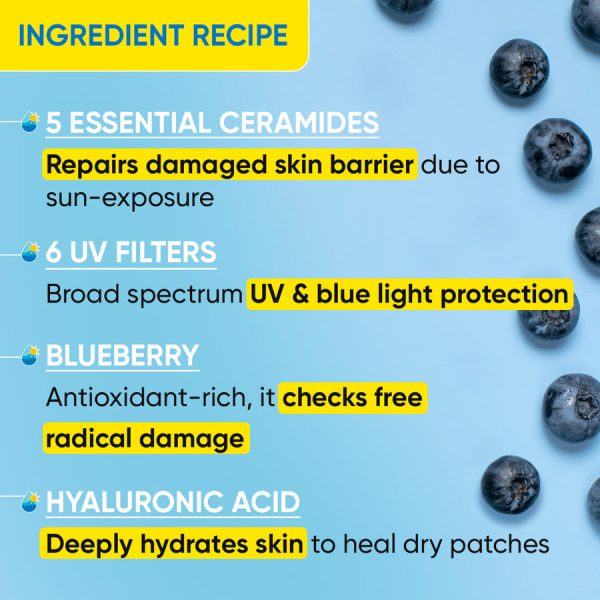 DOT KEY Blueberry Hydrate Barrier Repair Sunscreen SPF 504