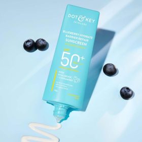 dot-and-key-blueberry-hydrate-barrier-repair-sunscreen-spf-50-pa-with-hyaluronic-and-5-ceramides-face-sunscrren-for-dry-and-sensitive-skin-with-6-uv-filters-50g_01_display_1711692617_7d2149e7