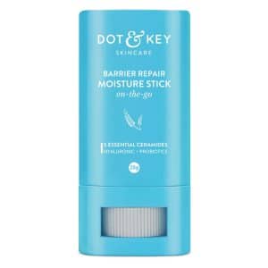 Dot & Key Barrier Repair Moisture Stick